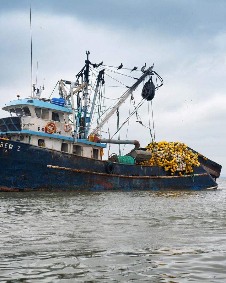 Bateau de pêche aux thons