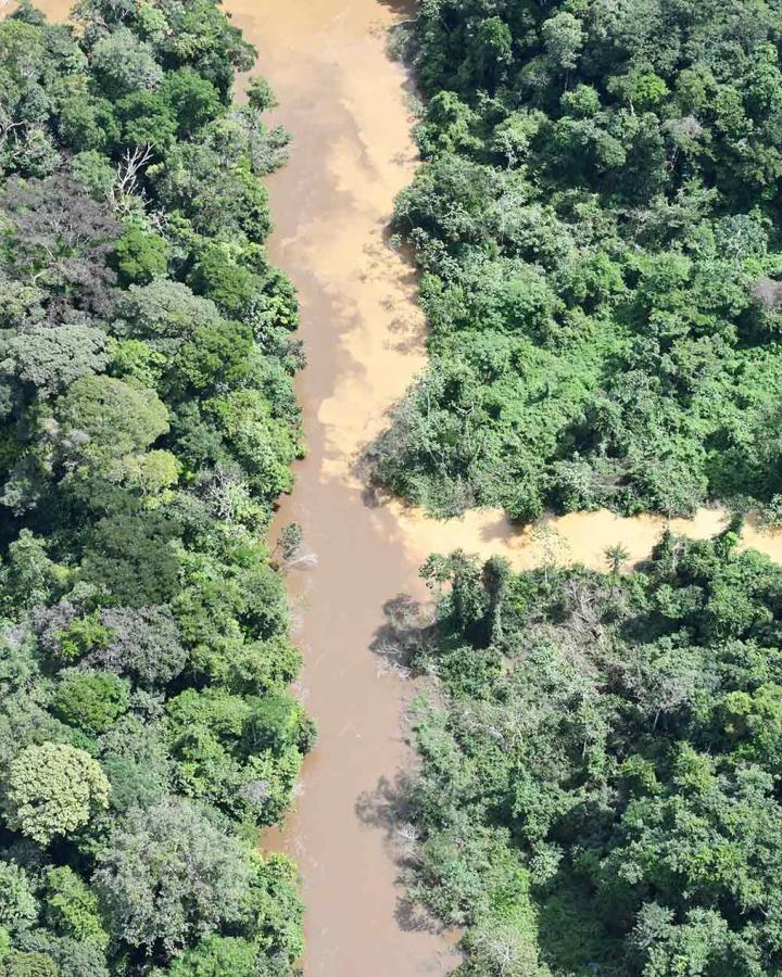 Orpaillage illégal en Amazonie
