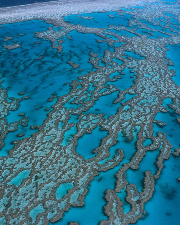 Grande barrière de corail vue du ciel, Australie