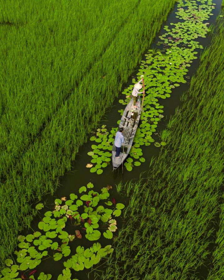 Vietnam cours d'eau