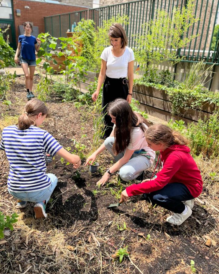 Enfants dans un potager en milieu scolaire