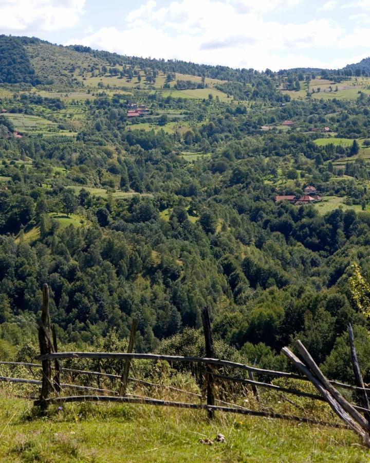 Paysage agricole dans les Carpates