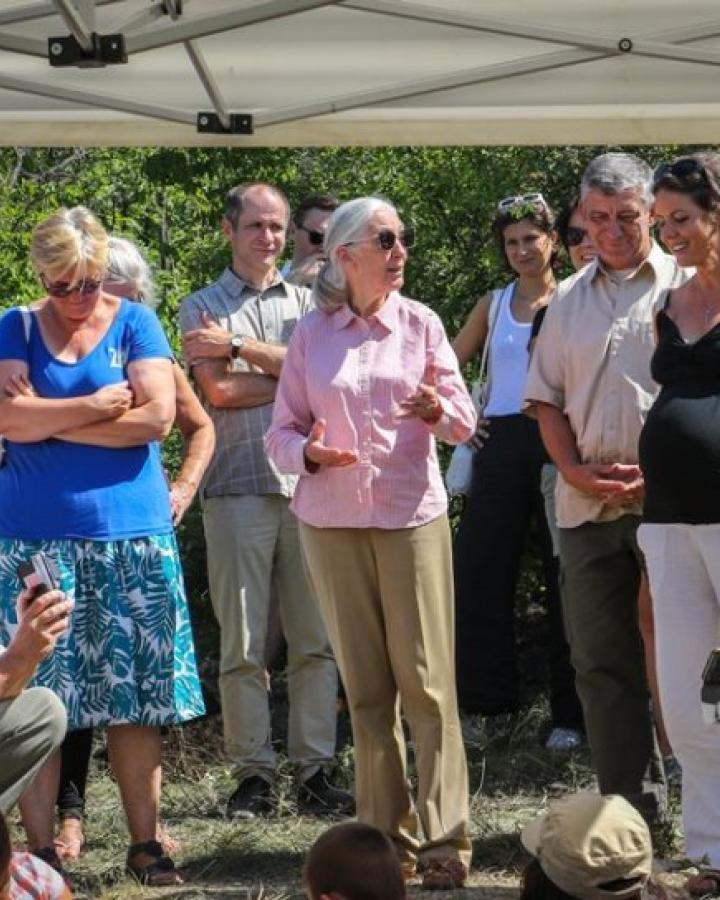 Plantation d’arbres indigènes tels que le sorbier domestique, le poirier sauvage et le chêne pubescent avec Jane Goodall (2019)