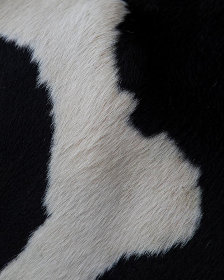 Pelage, robe, d'une vache laitière 