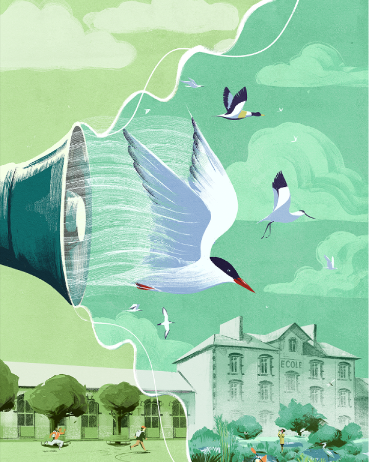 Affiche Appel de la Nature - Guifette