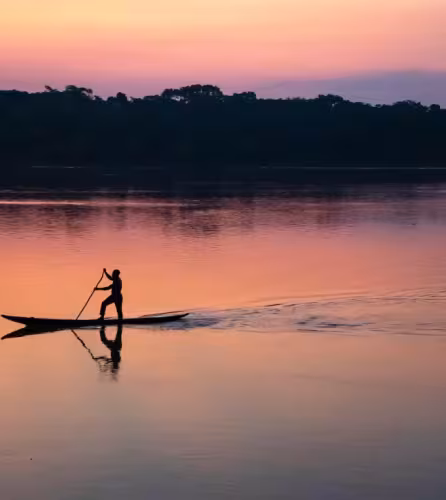 Bassin du congo