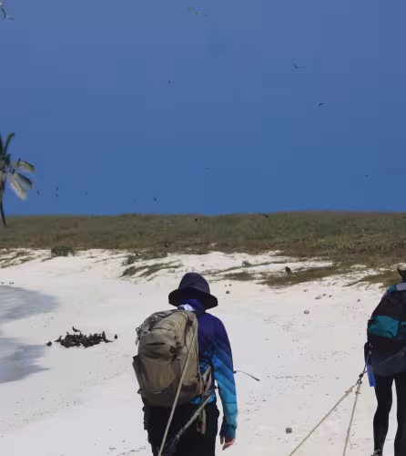 Bénévoles WWF France sur une mission terrain aux atolls d'Entrecastaux, Nouvelle-Calédonie