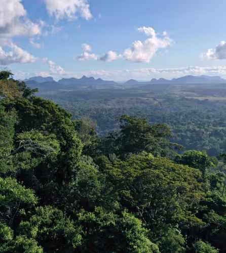 Site naturel inscrit au patrimoine mondial de l’UNESCO, le parc national de Monte Pascoal s’étend sur 22 500 hectares et offre de nombreux attraits touristiques et culturels