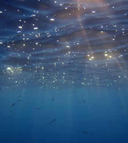 Surface de la mer Méditerranée vue sous l’eau