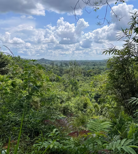Thirty Hills forest, Sumatra, Indonesia