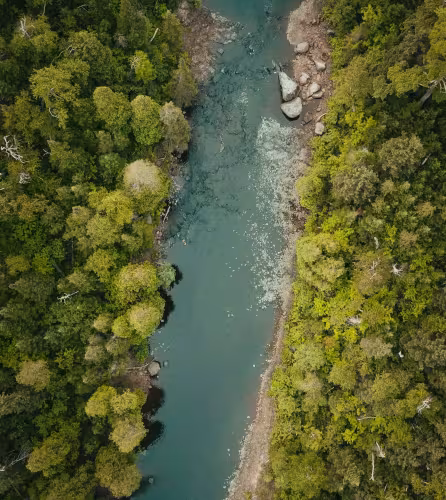 Vue du ciel rivière et forêts- Lab Transition Nature