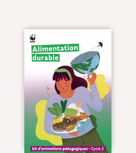 Alimentation durable