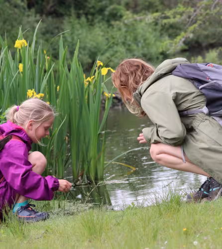 Femme et enfant dans la nature néerlandaise, près d'une petite rivière, à la recherche de petits animaux.