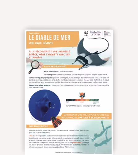 gardiens de la méditérannée - fiche éspèce