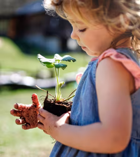 Une jeune fille aux mains sales, tenant une plante, à l'extérieur dans un jardin. Royaume-Uni.