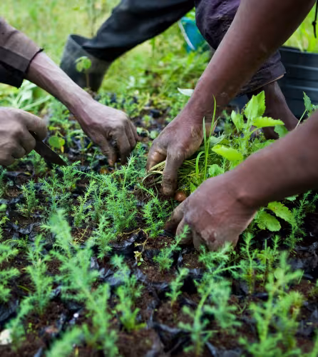 Des membres du Groupe de Floriculture Mkungi, disctrict de Mkungi, Lac Naivasha, Kenya 