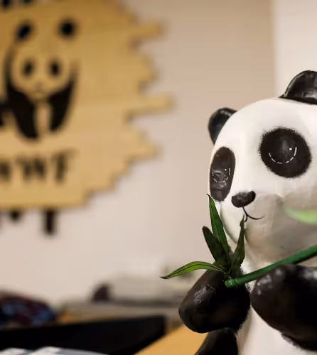 La figurine du panda dans les locaux du WWF France
