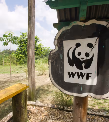 Panneau avec logo WWF, Parc national de Tesso Nilo (Indonésie)