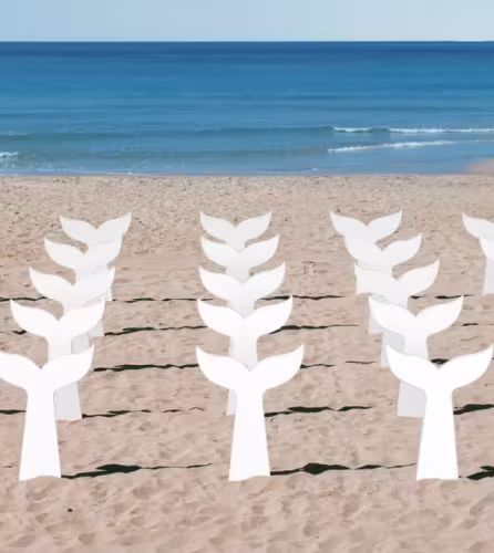 Le WWF lance une grande campagne pour sauver les baleines de Méditerranée et appelle à ralentir la vitesse du trafic maritime