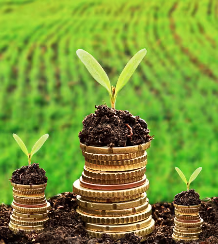 Finance verte