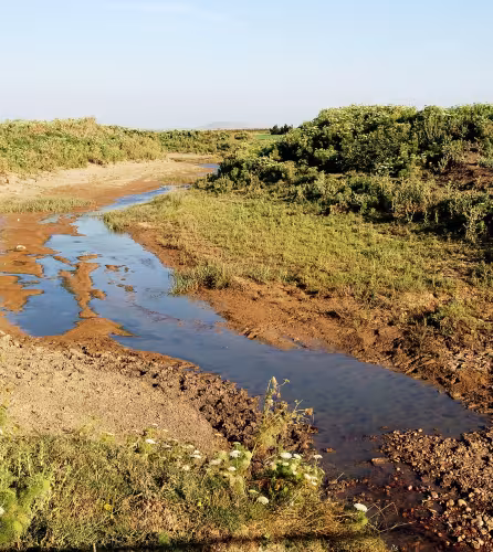 Rivière asséchée dans le massif de l'Atlas (Maroc)