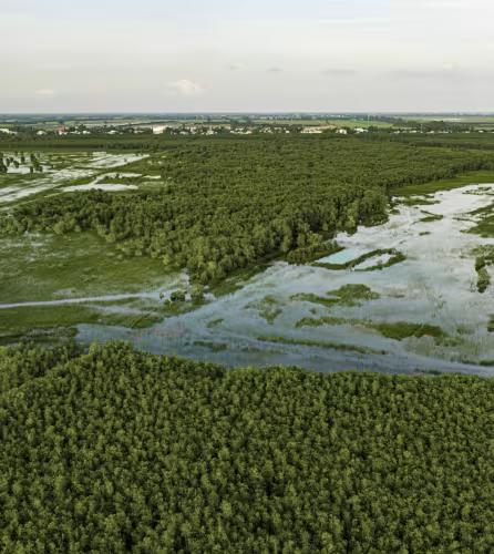 parc national mekong