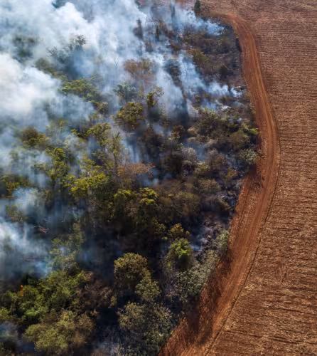 La forêt amazonienne en feux au Brésil.
