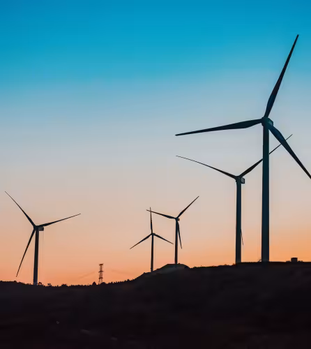 Champ d'éoliennes au coucher de soleil