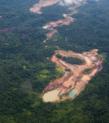 Vue aérienne de la déforestation dans le Kalimantan oriental (Indonésie)