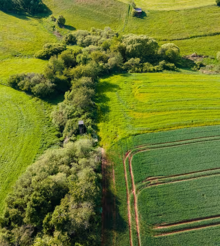 Campagne agroforesterie - Plantons des haies dans les champs