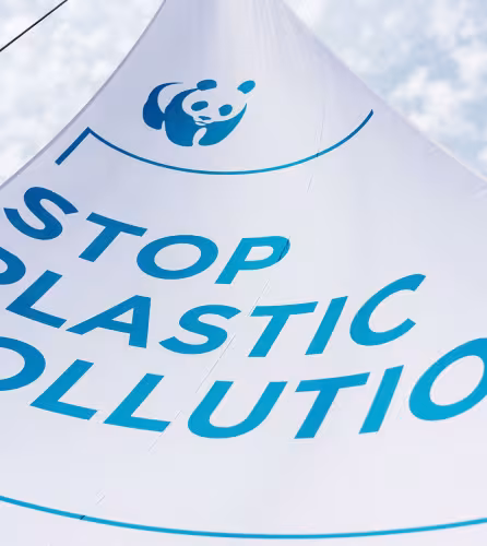 La voile du Blue Panda à l'effigie du Stop Plastic Pollution Tour