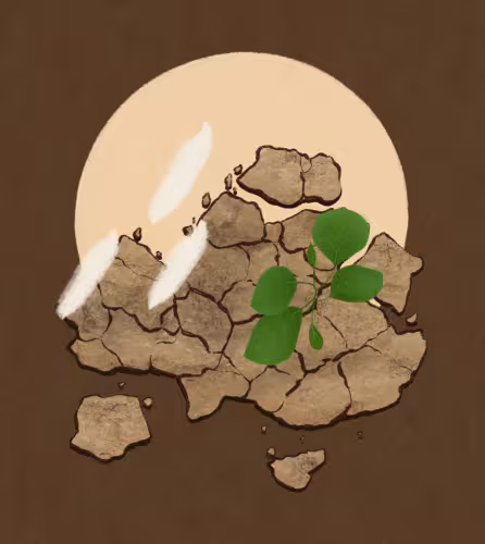 Illustration de Paulie Heart pour l'épisode 7 de la saison 2 du podcast l'Effet Panda.