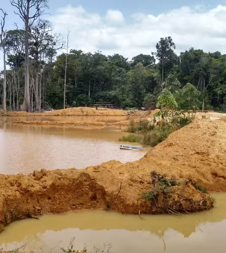La forêt amazonienne dévastée par les garimpeiros (adeptes des pratiques d'orpaillage illégal) entre le Suriname et la Guyane française