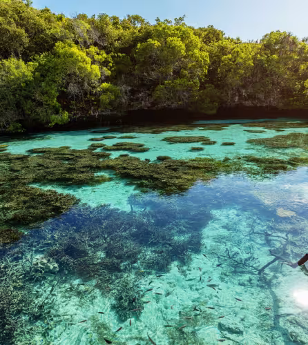 Nouvelle Calédonie - natural pool