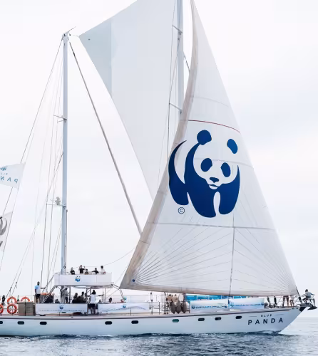 Le bateau Blue Panda sur la méditerranée