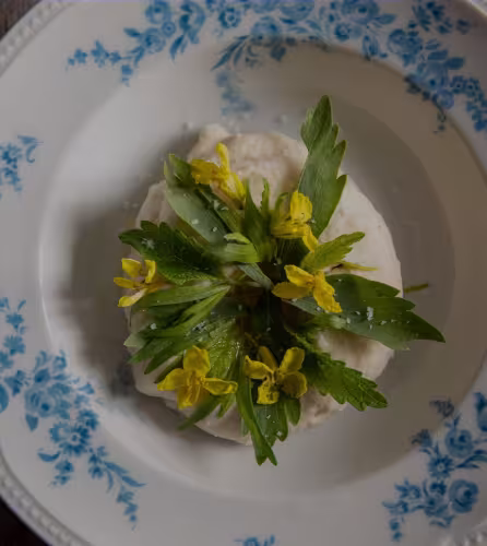 Recette de houmous de blanc de Flandre par le chef Florent Ladeyn
