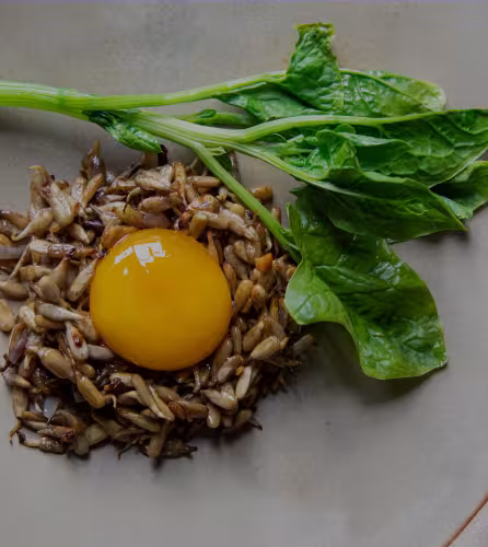 La recette des oeufs marinés aux bières et graines de tournesol du chef étoilé Florent Ladeyn