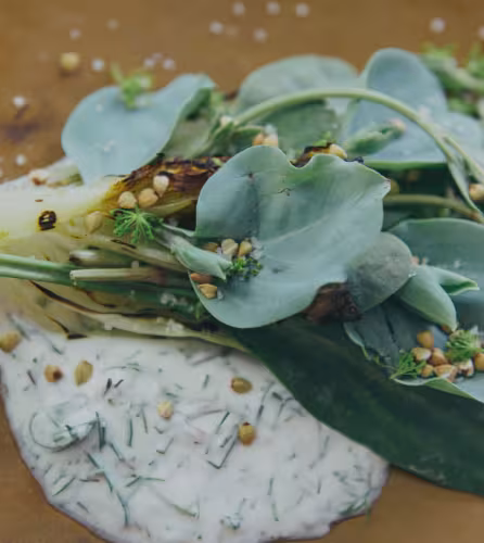 Recette de laitue poêlée et son yaourt au chèvre aromatisé aux herbes