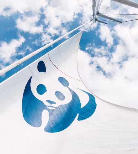 Le Blue Panda : notre voilier pour préserver la Méditerranée
