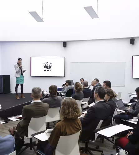 Séminaire avec les entreprises partenaires du WWF France
