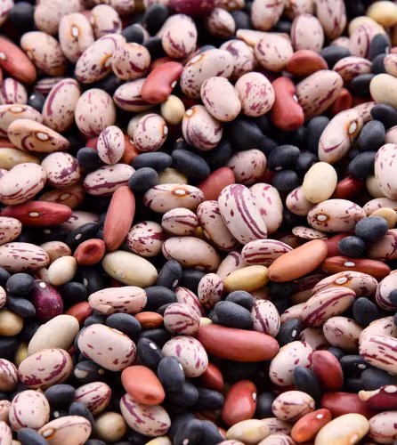 Des légumes secs en vrac