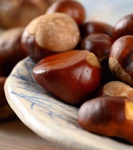 Recette de tajine aux châtaignes