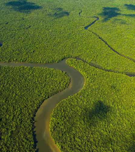 Vue aérienne de la rivière Kinabatangan et de la forêt tropicale, Sabah, Bornéo, Malaisie
