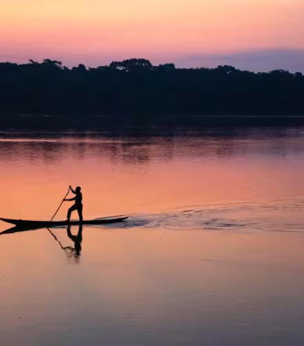 Bassin du congo