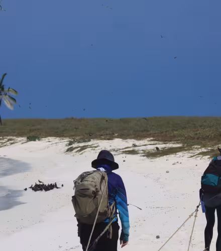 Bénévoles WWF France sur une mission terrain aux atolls d'Entrecastaux, Nouvelle-Calédonie