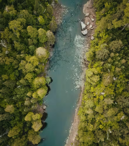 Vue du ciel rivière et forêts- Lab Transition Nature