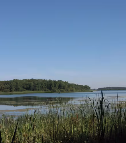 Lac Madine - Grand Est