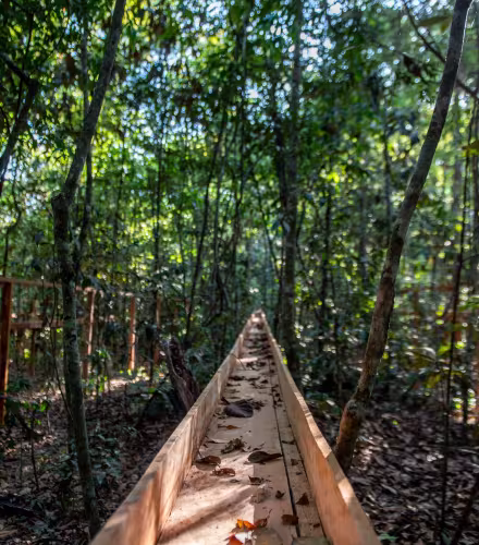 Zone légale amazonienne, à la transition entre le Cerrado et l’Amazonie, au Brésil.