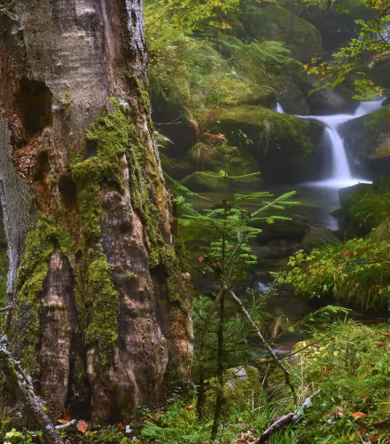 Le WWF France annonce la première signature d’une Obligation Réelle Environnementale dans le cadre  de l’initiative Nature Impact