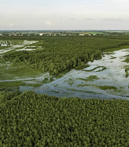 parc national mekong